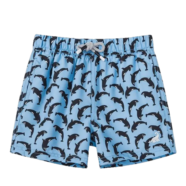 Fashionable Boys' Quick Dry Swim Trunks For Beach Board